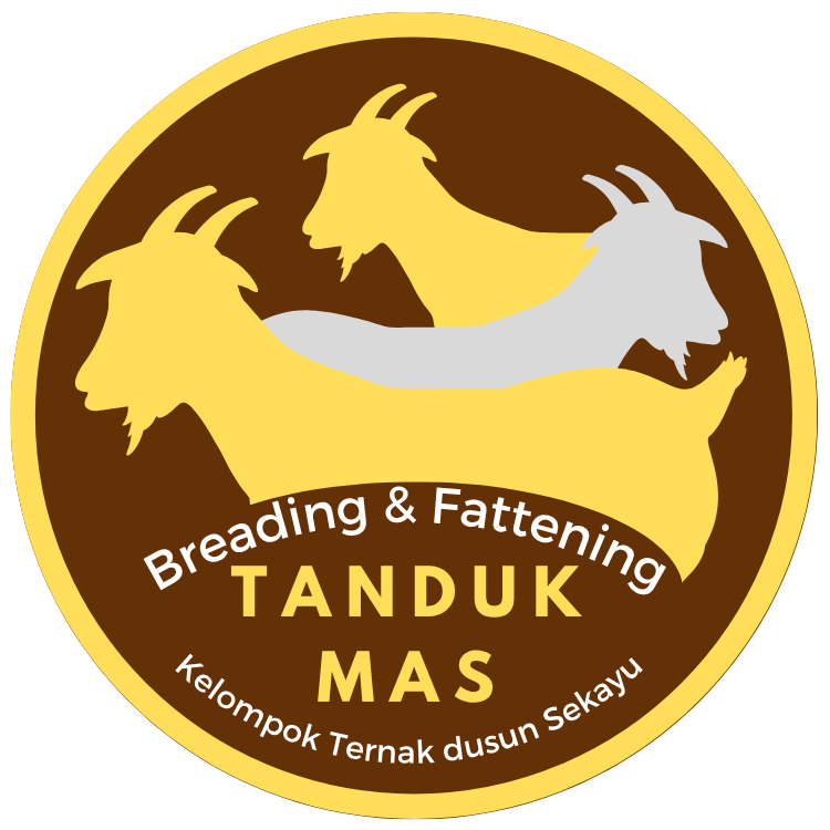 store_logo